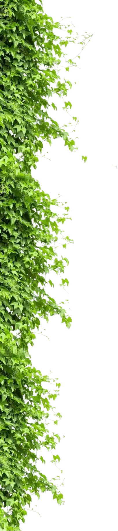 Decor stânga